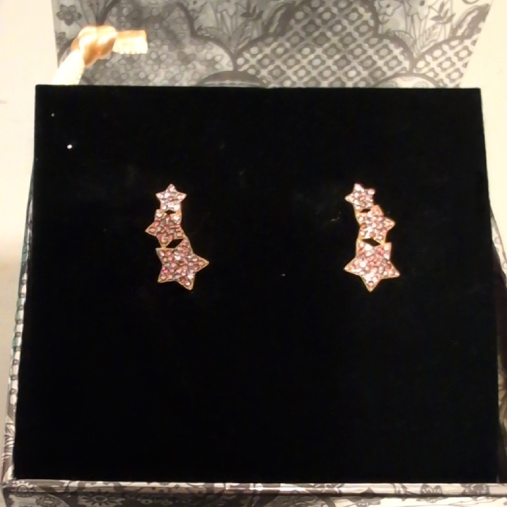 Taylor swift Speak Now Gold/Pink Star Earrings 2025 Holiday Colection